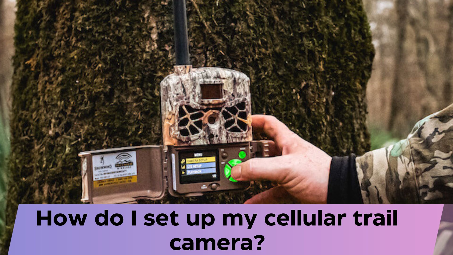 How do I set up my cellular trail camera?